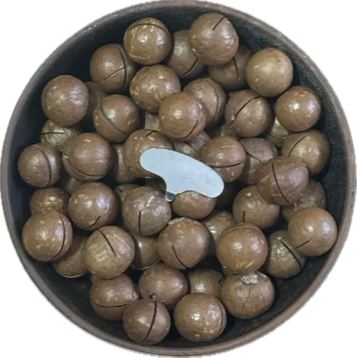 Макадамія
